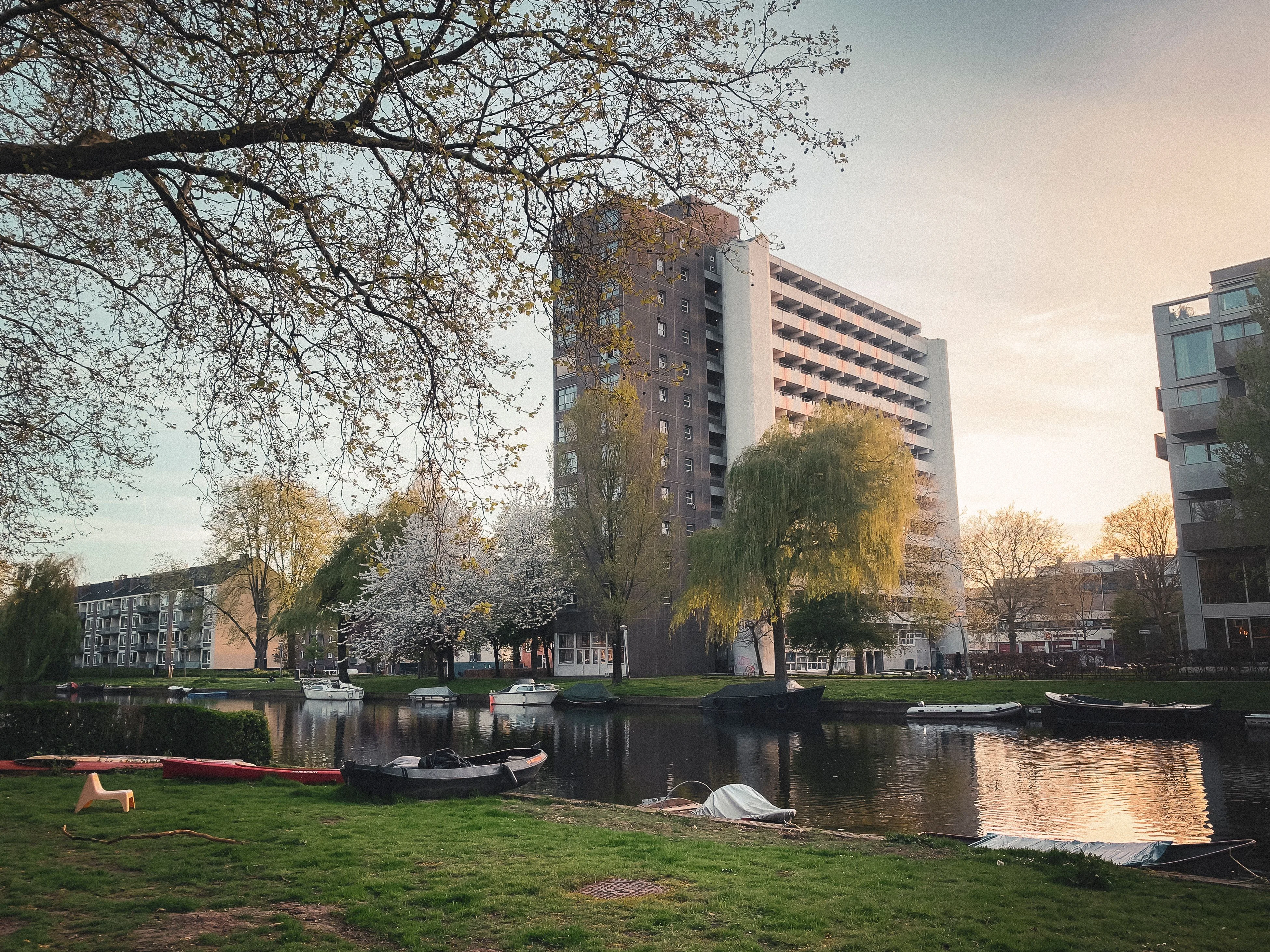 Groene woonwijk in Amsterdam Nieuw-West met ruime eengezinswoningen en parken